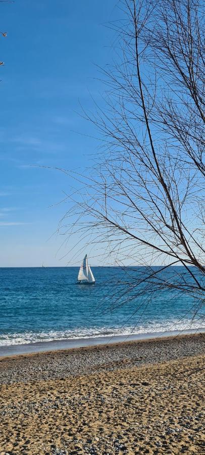 Villa Ange Azur 2 Villeneuve-Loubet Kültér fotó