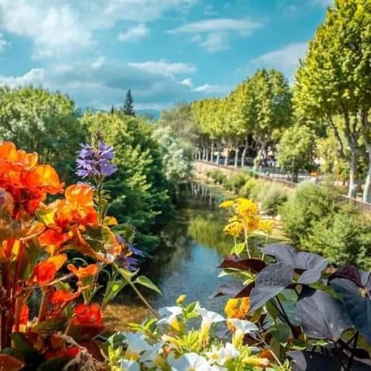 Villa Ange Azur 2 Villeneuve-Loubet Kültér fotó
